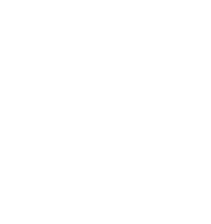 Bitcoin Japan