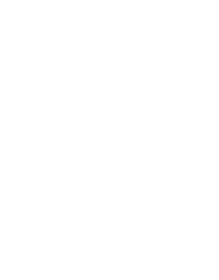 LifeOS by Venturis 13