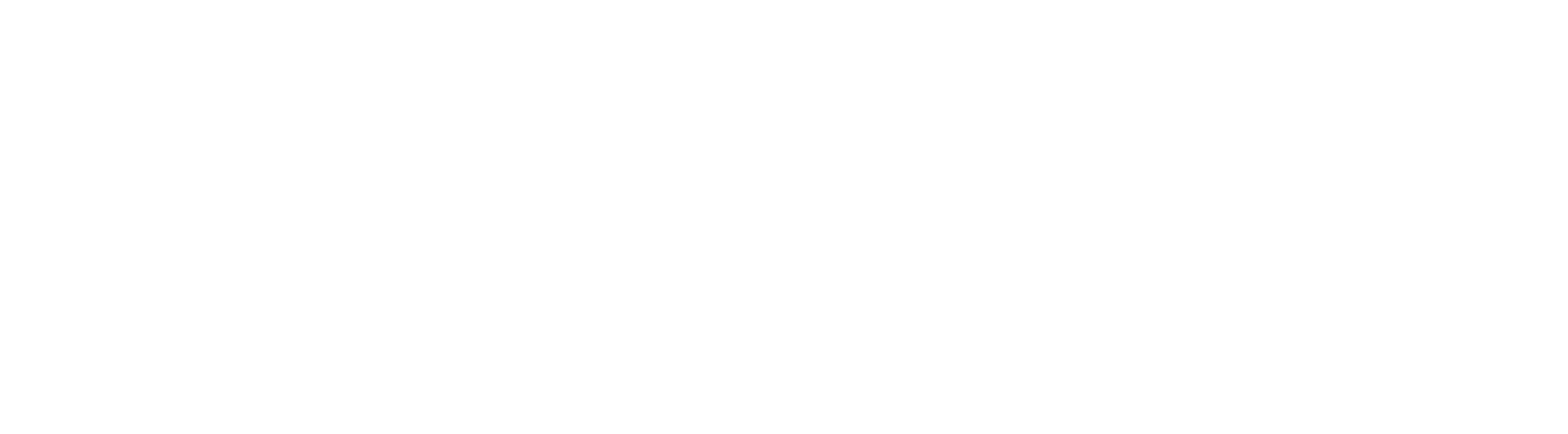 VulSight